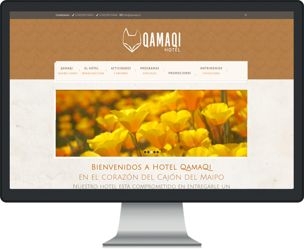 Website Qamaqi